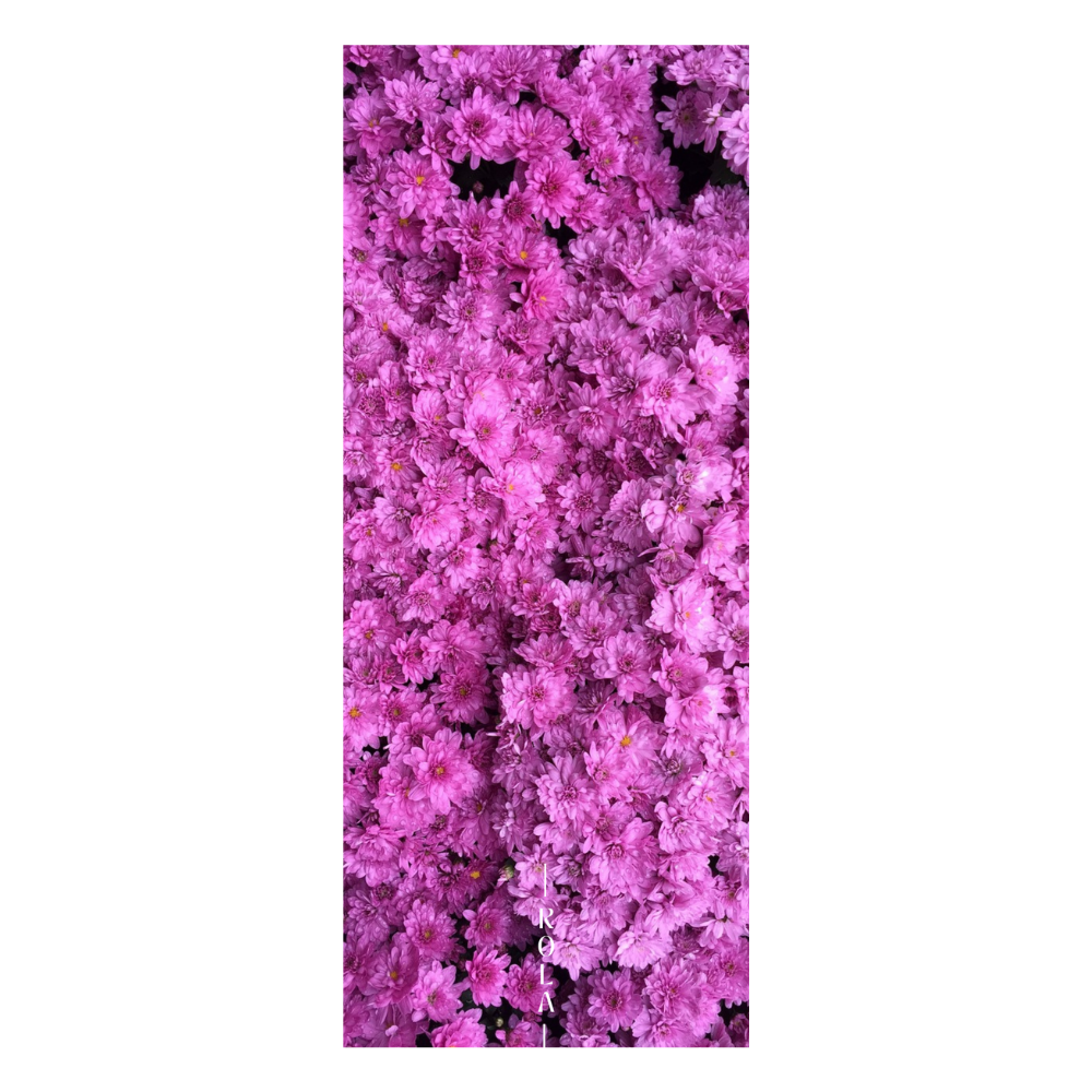 Azalea